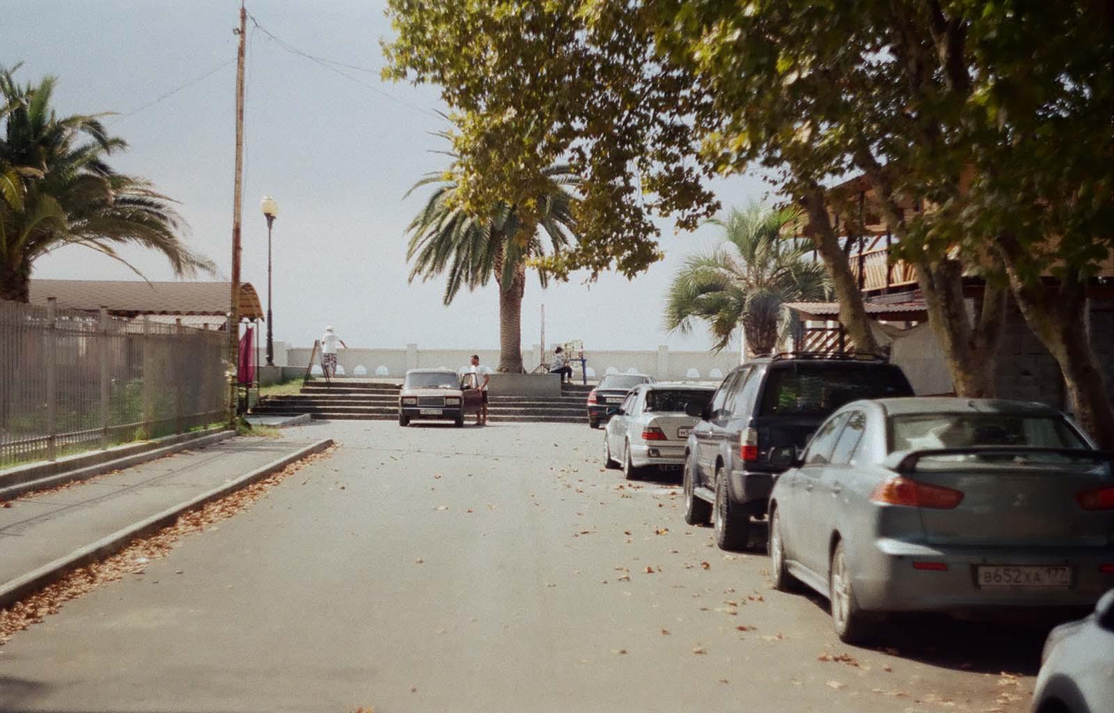 Люди возле пальмы