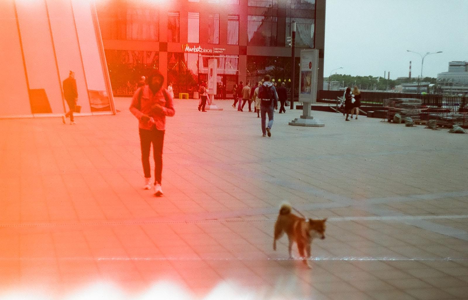 Хозяин с собакой