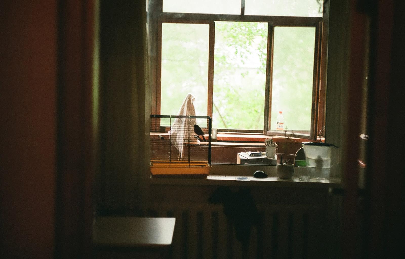 Птица в клетке